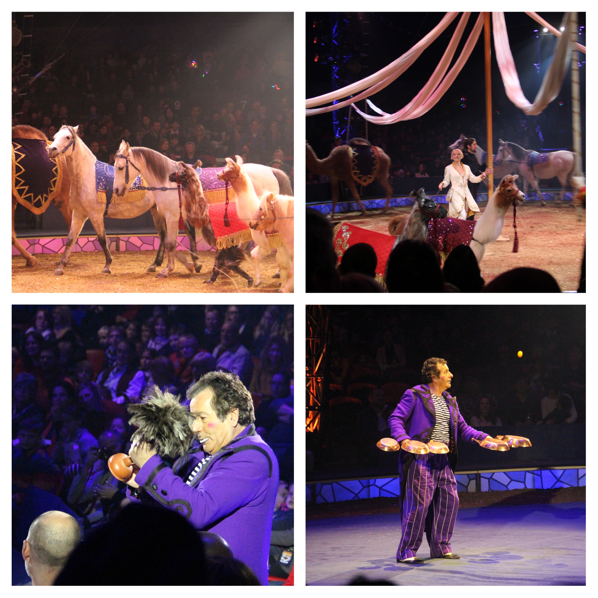 Spotlight on NYC Big Apple Circus Review Globetrotting Mommy